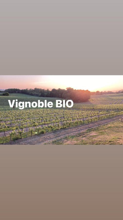 Gite Les Vignes Cravenceres Esterno foto